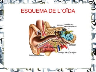ESQUEMA DE L´OÏDA
 