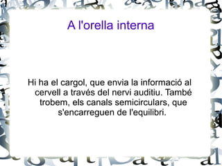 A l'orella interna
Hi ha el cargol, que envia la informació al
cervell a través del nervi auditiu. També
trobem, els canals semicirculars, que
s'encarreguen de l'equilibri.
 