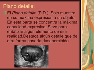 Plano detalle: El  Plano detalle  (P.D.), Solo muestra en su maxima expresion a un objeto. En esta parte se concentra la máxima capacidad expresiva. Sirve para enfatizar algún elemento de esa realidad.Destaca algún detalle que de otra forma pasaría dasapercibido  