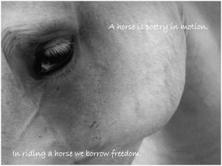 In riding a horse we borrow freedom.
A horse is poetry in motion.
 