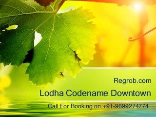 Lodha Codename Downtown
Regrob.com
Call For Booking on +91-9699274774
 