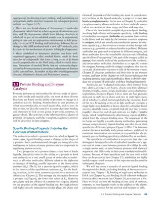 Detailed Summary of Protein Binding and Enzyme Catalysis | PDF