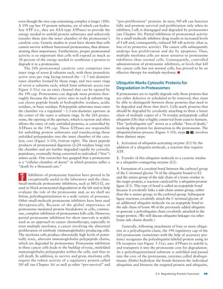 Detailed Summary of Protein Binding and Enzyme Catalysis | PDF