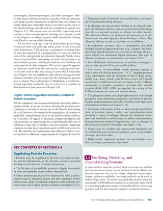 Detailed Summary of Protein Binding and Enzyme Catalysis | PDF