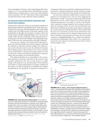 Detailed Summary of Protein Binding and Enzyme Catalysis | PDF