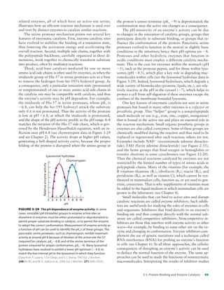 Detailed Summary of Protein Binding and Enzyme Catalysis | PDF