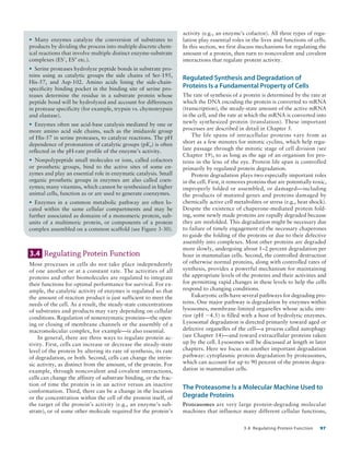 Detailed Summary of Protein Binding and Enzyme Catalysis | PDF