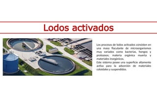 Lodos activados
Los procesos de lodos activados consisten en
una masa floculante de microorganismos
muy variados como bacterias, hongos y
protozoos; materia orgánica muerta y
materiales inorgánicos.
Este sistema posee una superficie altamente
activa para la adsorción de materiales
coloidales y suspendidos.
 