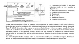 La comunidad microbiana en los lodos
activados puede ser muy variable y
depende de:
1. Naturaleza del suministro alimenticio
2. Concentración del alimento
3. Turbulencia
4. Temperatura
5. Tiempo de aireación
6. Concentración de lodos.
Las A.R crudas fluyen en el tanque de aireación con su contenido de materia orgánica (DBO) como suministro
alimenticio. Las bacterias metabolizan los residuos produciendo nuevas bacterias, utilizando oxigeno disuelto y
liberando dióxido de carbono. Los protozoos consumen bacterias para obtener energía y reproducirse. Una
porción de las bacterias muere liberando su contenido intracelular en la solución para una nueva síntesis en
células microbianas. La mezcla liquida de agua residual con floc biológico en suspensión es separada en un
sedimentador; se recircula el floc sedimentado continuamente al tanque de aireación y se descara el efluente
clarificado.
Una cantidad optima de floc biológico activo en presencia de un adecuado suministro de oxigeno, durante un
periodo de tiempo conveniente seguido de la separación eficiente son los prerrequisitos del proceso.
 