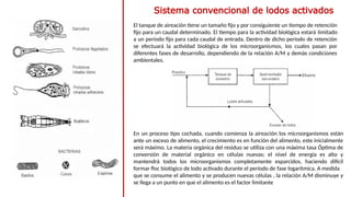 Sistema convencional de lodos activados
El tanque de aireación tiene un tamaño fijo y por consiguiente un tiempo de retención
fijo para un caudal determinado. El tiempo para la actividad biológica estará limitado
a un período fijo para cada caudal de entrada. Dentro de dicho período de retención
se efectuará la actividad biológica de los microorganismos, los cuales pasan por
diferentes fases de desarrollo, dependiendo de la relación A/M y demás condiciones
ambientales.
En un proceso tipo cochada, cuando comienza la airea­
ción los microorganismos están
ante un exceso de alimento, el crecimiento es en función del alimento, este inicialmente
será máximo. La materia orgánica del residuo se utiliza con una máxima tasa Óptima de
conversión de material orgánico en células nuevas; el nivel de energía es alto y
mantendrá todos los microorganismos completamente esparcidos, haciendo difícil
formar floc biológico de lodo activado durante el período de fase logarítmica. A medida
que se consume el alimento y se producen nuevas células , la relación A/M disminuye y
se llega a un punto en que el alimento es el factor limitante
 