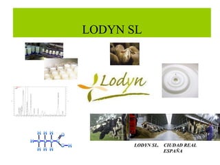 LODYN SL LODYN SL.  CIUDAD REAL   ESPAÑA 