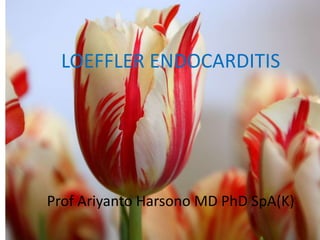LOEFFLER ENDOCARDITIS

Prof Ariyanto Harsono MD PhD SpA(K)

 