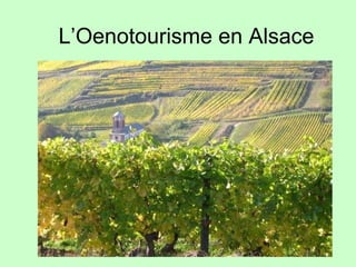 L’Oenotourisme en Alsace 