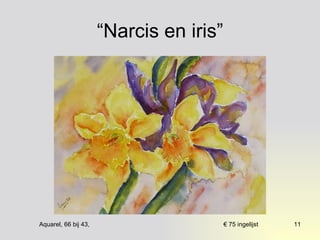 “Narcis en iris” 