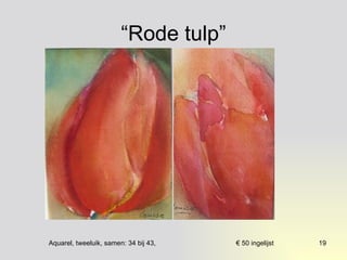 “Rode tulp” 