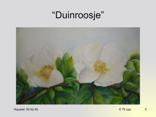 “Duinroosje” 