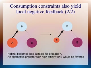 Consumption constraints also yield
local negative feedback (2/2)
P
BA
P
B
A
Habitat becomes less suitable for predator A
An alternative predator with high affinity for B would be favored
 