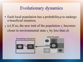 Evolutionary dynamics
● Each local population has a probabilityμ to undergo
a beneficial mutation.
● (c) If so, the new trait of the population xi
becomes
closer to environmental state zi
by less than dx
Initial Situation
(c)
Evolutionary Dynamics
 