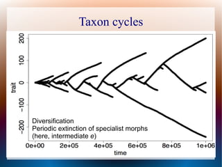 Taxon cycles
Diversification
Periodic extinction of specialist morphs
(here, intermediate e)
 