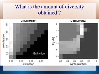 What is the amount of diversity
obtained ?
 