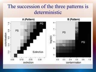 The succession of the three patterns is
deterministic
 