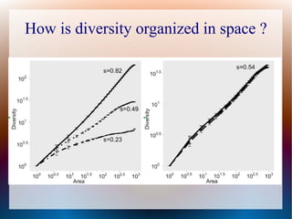 How is diversity organized in space ?
 