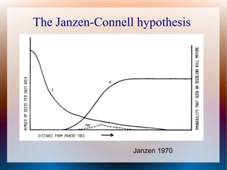 The Janzen-Connell hypothesis
Janzen 1970
 