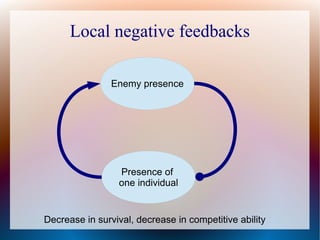 Local negative feedbacks
Enemy presence
Presence of
one individual
Decrease in survival, decrease in competitive ability
 