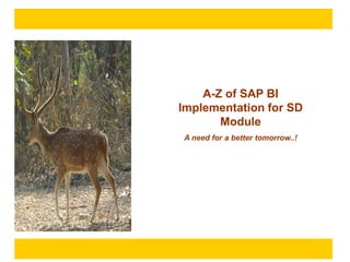 A-Z of SAP BI
Implementation for SD
       Module
A need for a better tomorrow..!
 