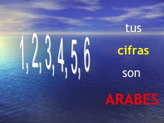 tus
 cifras
 son

ARABES
 