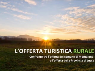L’OFFERTA TURISTICA  RURALE Confronto tra l’offerta del comune di Montaione  e l’offerta della Provincia di Lucca 