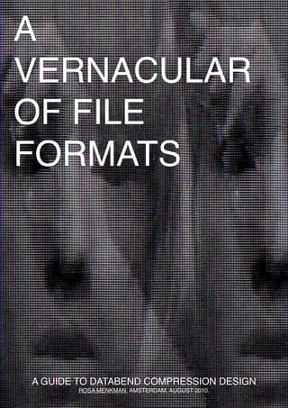 A
VERNACULAR
OF FILE
FORMATS




A GUIDE TO DATABEND COMPRESSION DESIGN         1
       ROSA MENKMAN, AMSTERDAM, AUGUST 2010.
 