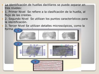  La identificación de huellas dactilares se puede separar en
tres niveles:
 1. Primer Nivel Se refiere a la clasificación de la huella, al
flujo de las crestas.
 2. Segundo Nivel Se utilizan los puntos característicos para
la identificación.
 3. Tercer Nivel Se utilizan detalles microscópicos, como la
forma de la cresta, los poros, etc.
 