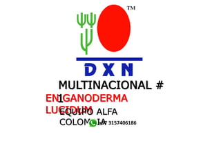 MULTINACIONAL #
1EN GANODERMA
LUCIDUMEQUIPO ALFA
COLOMBIA+57 3157406186
 