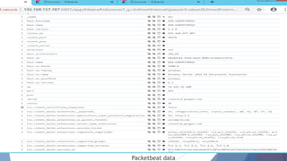 Packetbeat data
 