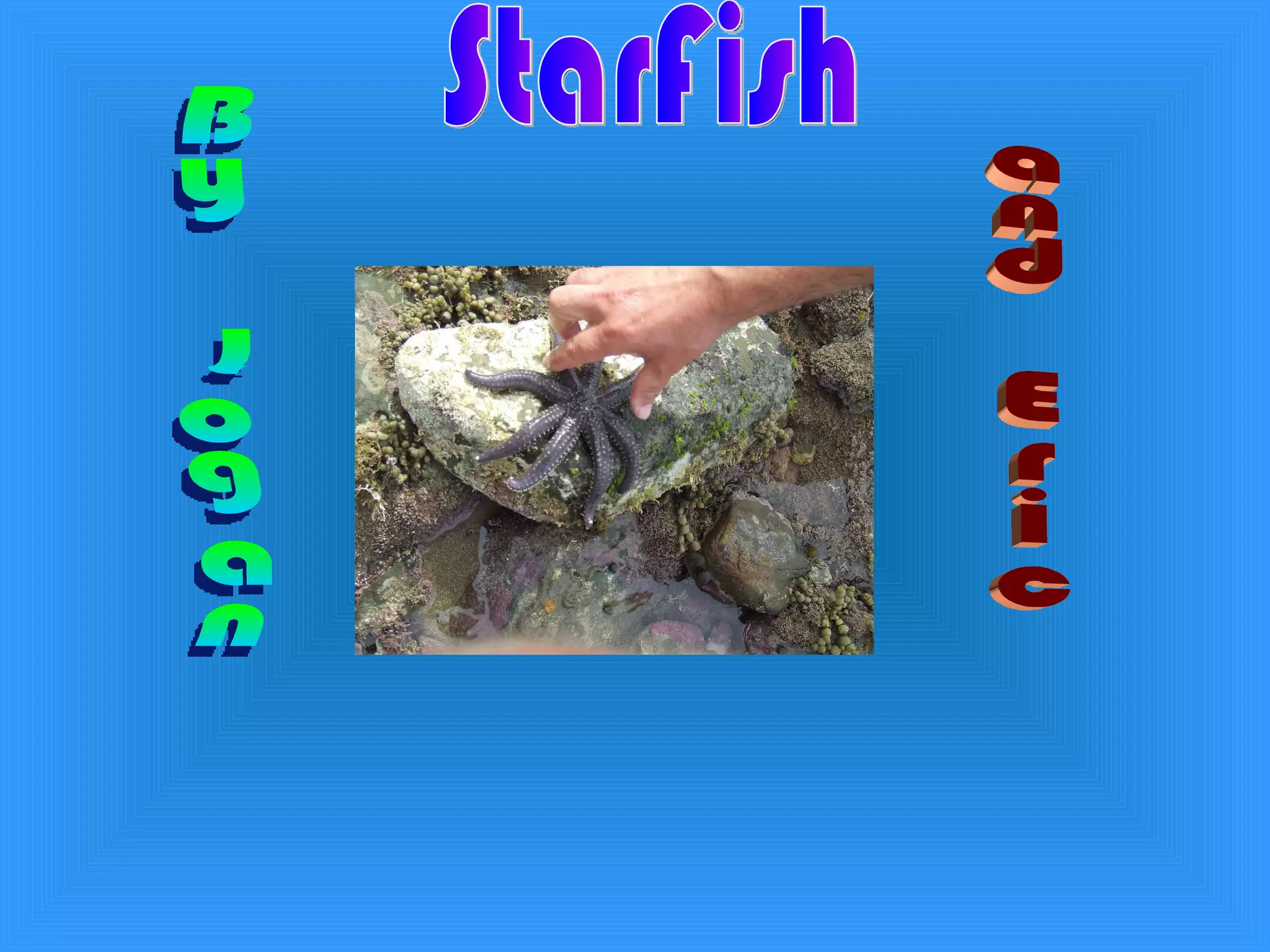 StarFish By Logan and Eric