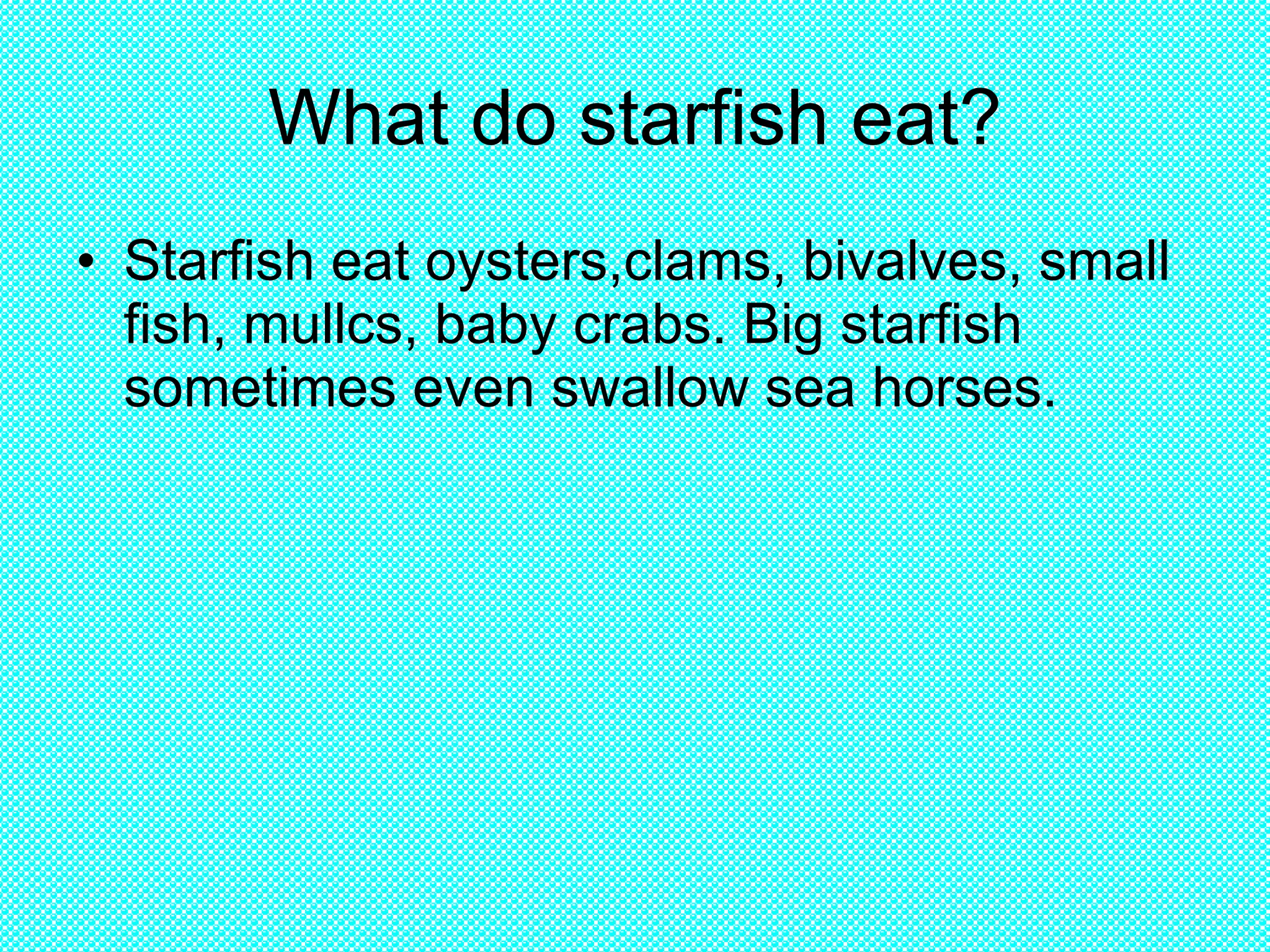 What do starfish eat? Starfish eat oysters, clams, bivalves, small fish, mullcs, baby crabs. Big starfish sometimes even swallow sea horses.