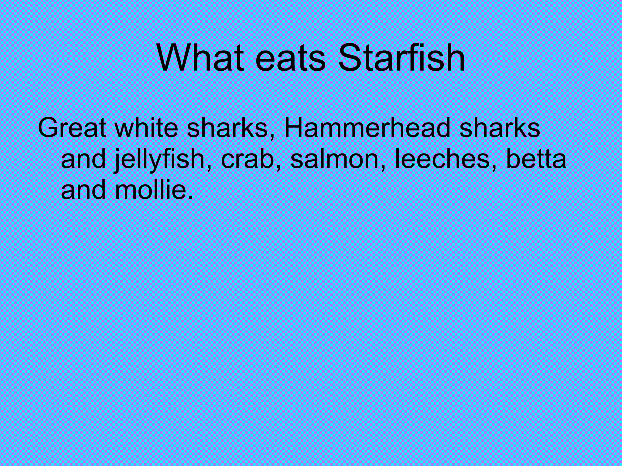 What eats Starfish Great white sharks, Hammerhead sharks and jellyfish, crab, salmon, leeches, betta and mollie.