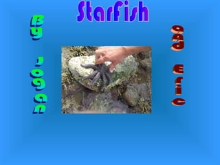 StarFish By Logan and Eric 
