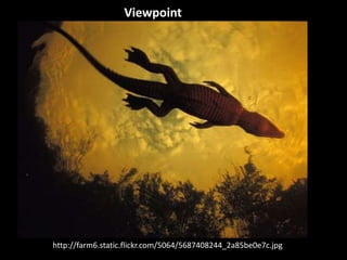 Viewpoint




http://farm6.static.flickr.com/5064/5687408244_2a85be0e7c.jpg
 