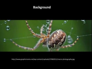 Background




http://www.graphicmania.net/wp-content/uploads/27082011/macro-photography.jpg
 