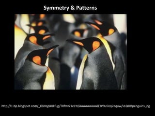 Symmetry & Patterns




http://1.bp.blogspot.com/_DKVqpK8Efug/TRfmtZ7ceYI/AAAAAAAAAJE/P9u5nq7eqaw/s1600/penguins.jpg
 