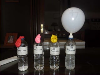 Logan's science presentation