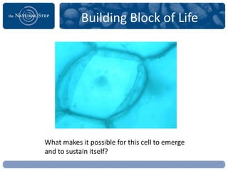 Building Block of Life




What makes it possible for this cell to emerge
and to sustain itself?
 