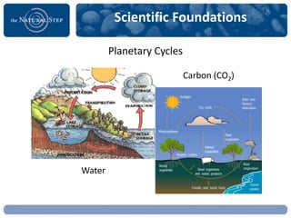 Scientific Foundations

        Planetary Cycles

                           Carbon (CO2)




Water
 