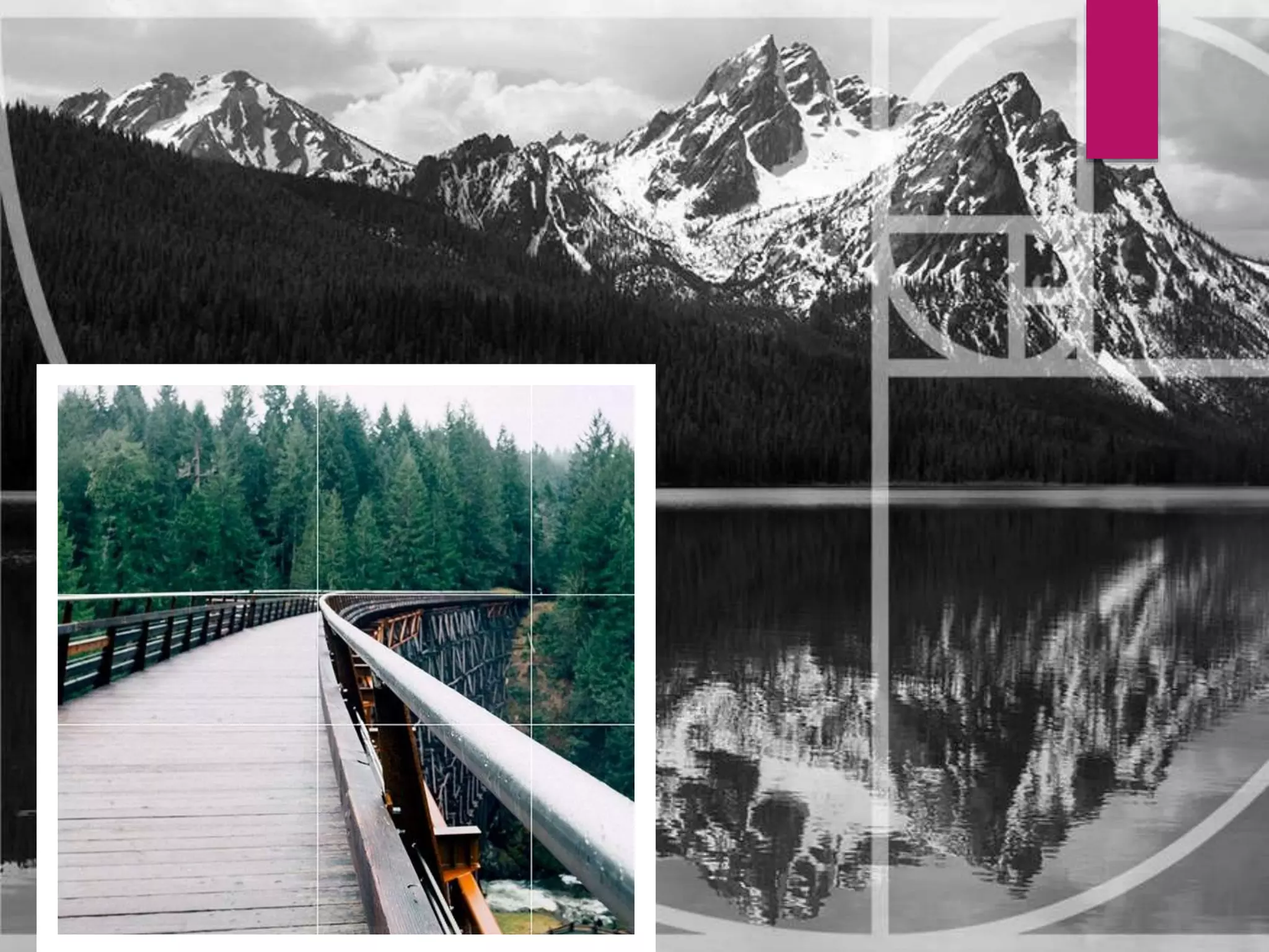 class 11 maths complex numbers ,logarithmic spirals in complex plane