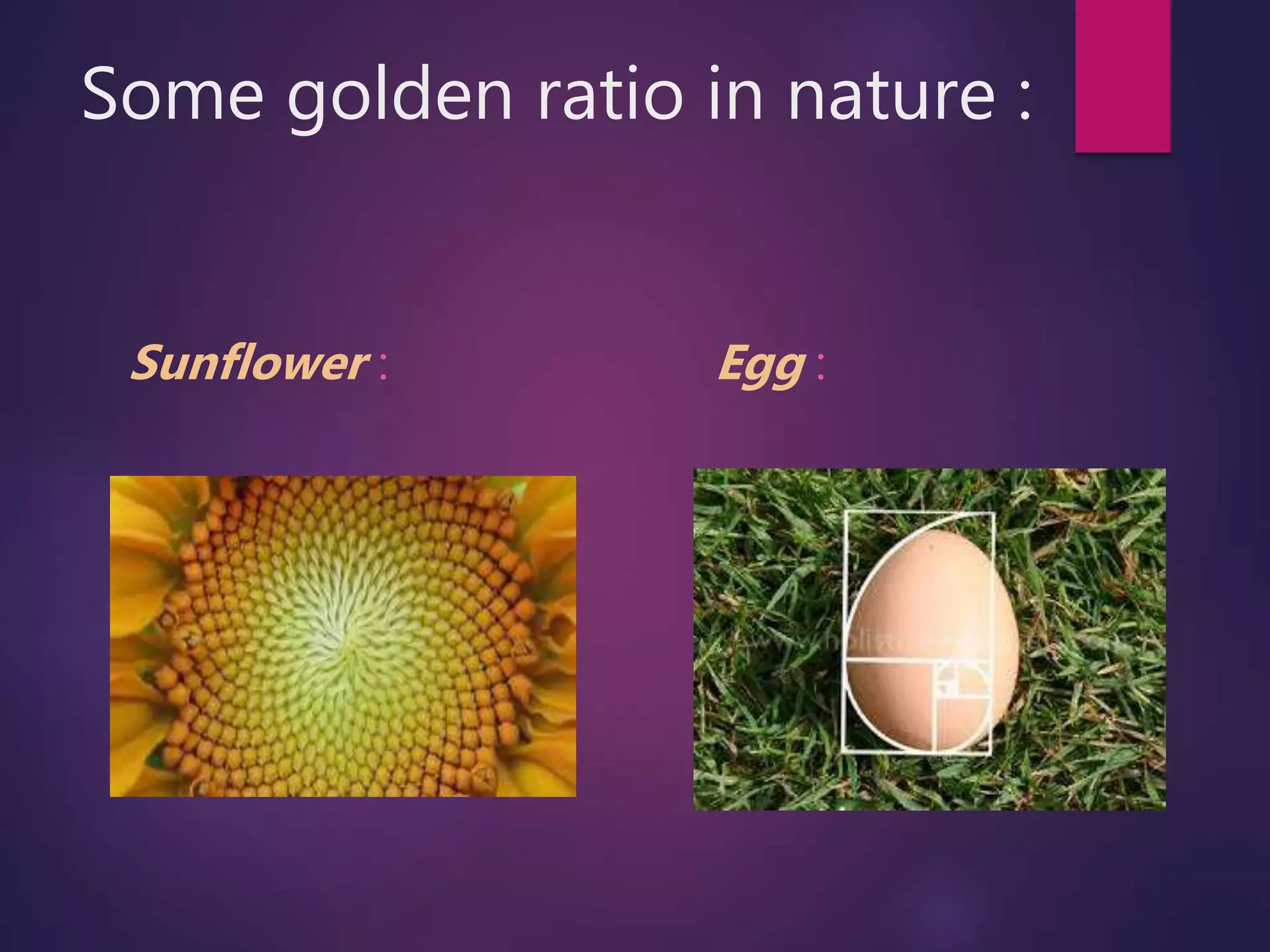class 11 maths complex numbers ,logarithmic spirals in complex plane
