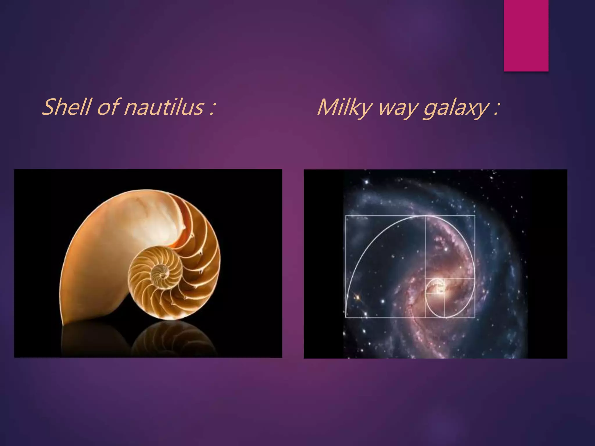 class 11 maths complex numbers ,logarithmic spirals in complex plane