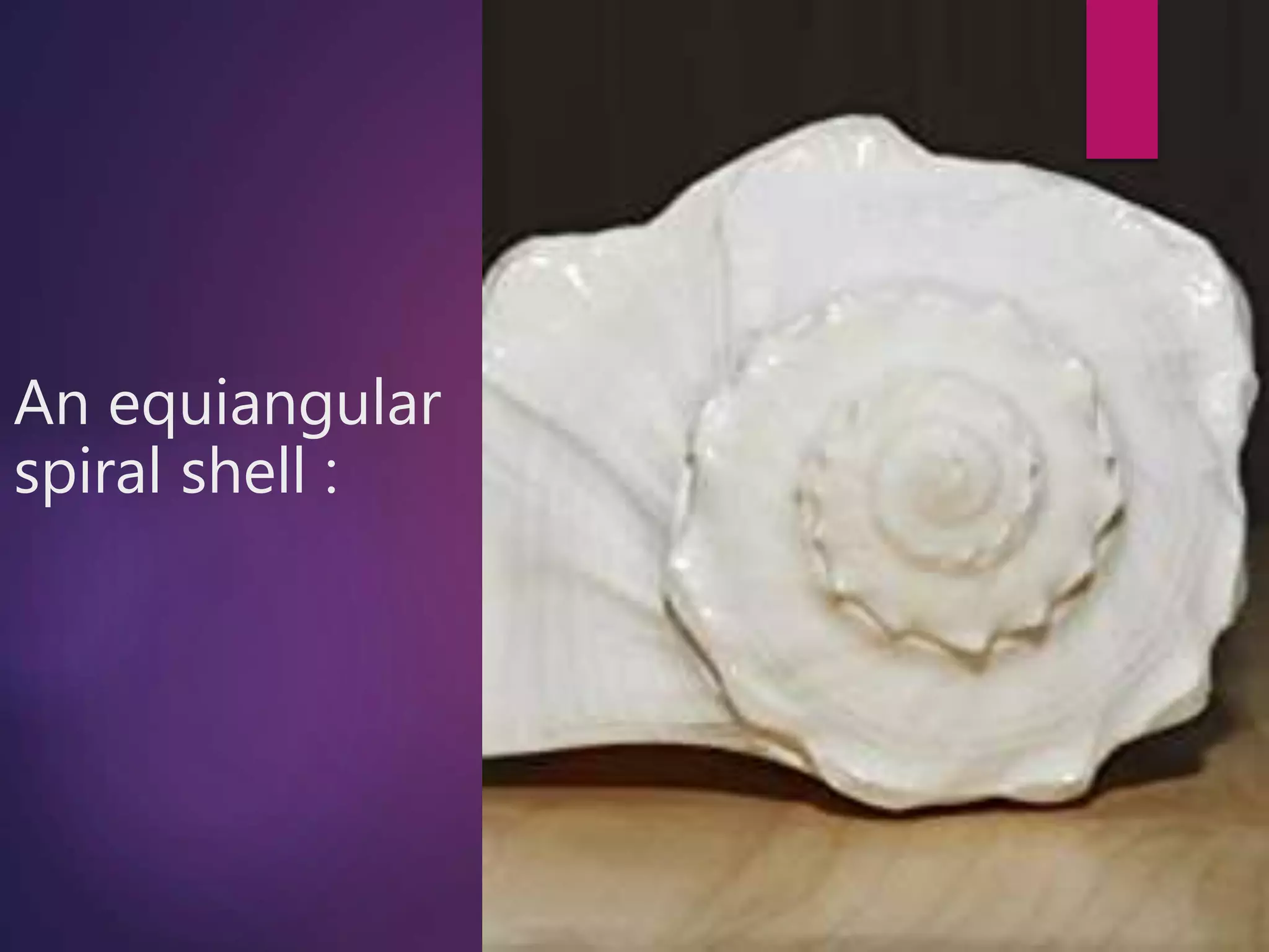 class 11 maths complex numbers ,logarithmic spirals in complex plane