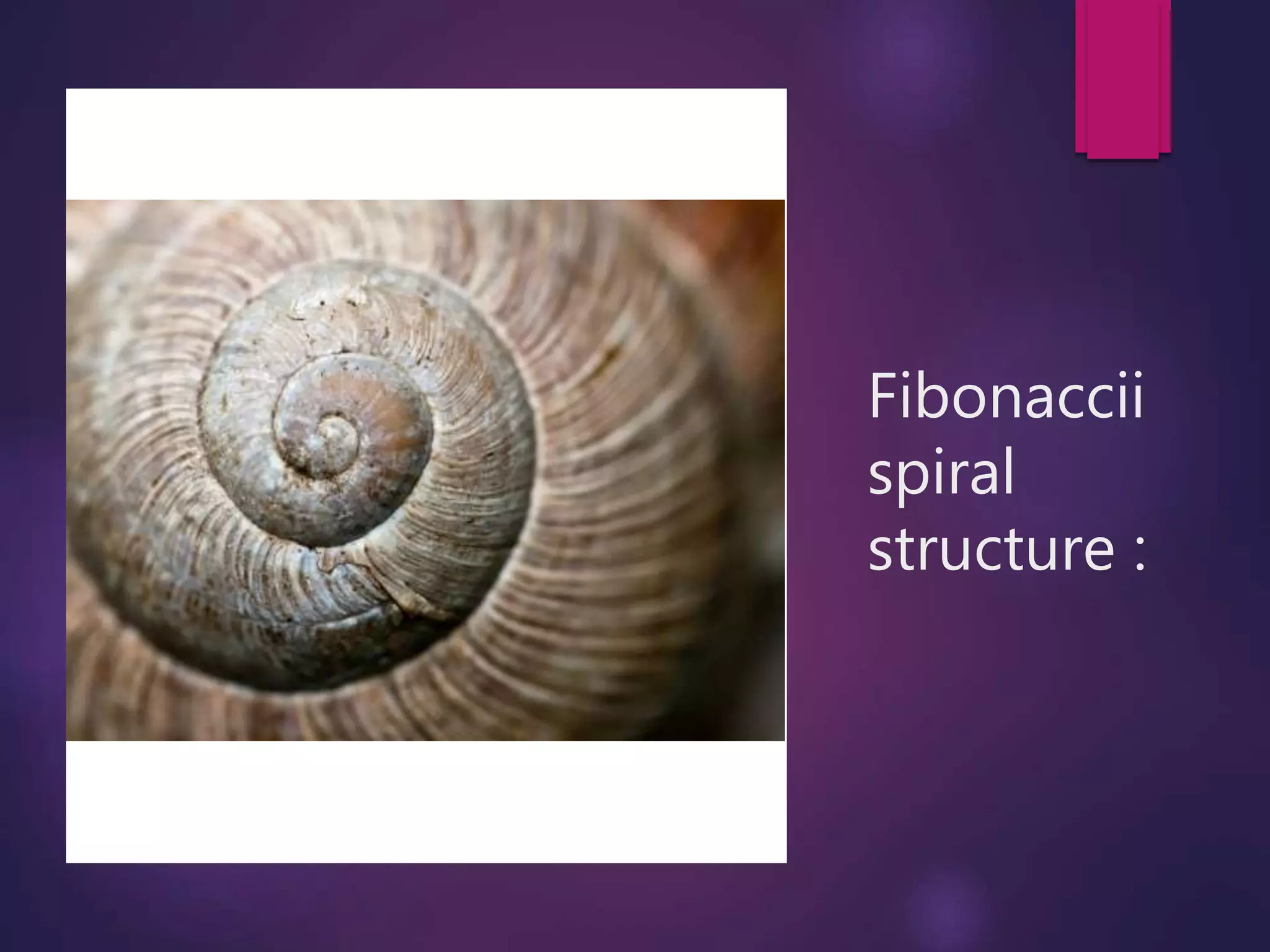 class 11 maths complex numbers ,logarithmic spirals in complex plane